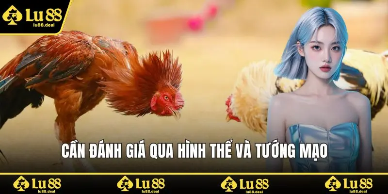 Cần đánh giá qua hình thể và tướng mạo