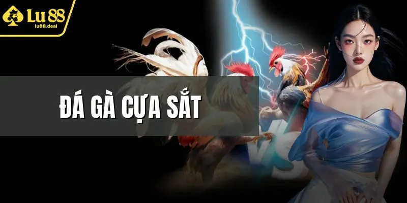 Đá Gà Cựa Sắt
