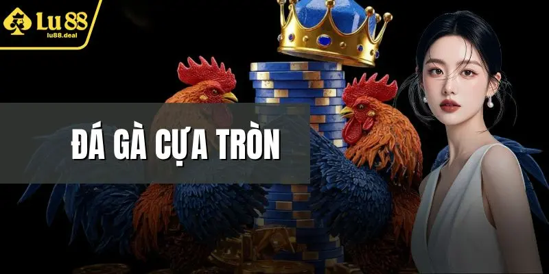 Đá Gà Cựa Tròn