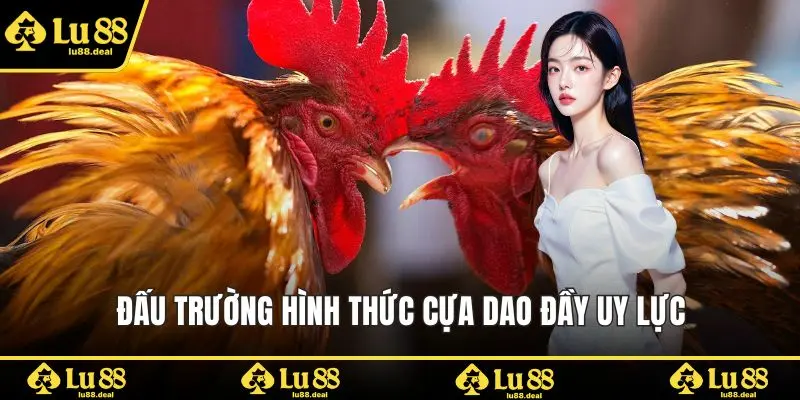 Đấu trường hình thức cựa dao đầy uy lực