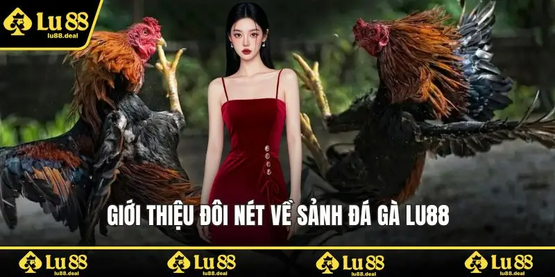 Giới thiệu đôi nét về sảnh đá gà LU88