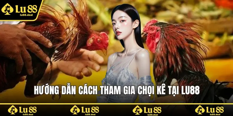 Hướng dẫn cách tham gia chọi kê tại LU88