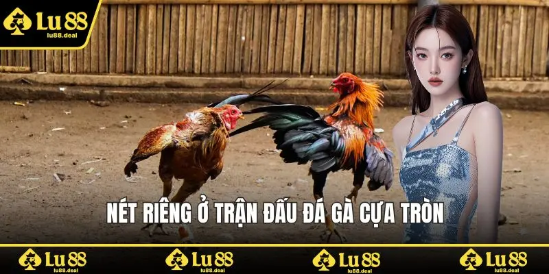 Nét riêng ở trận đấu đá gà cựa tròn