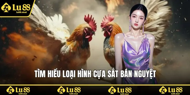 Tìm hiểu loại hình cựa sắt bán nguyệt