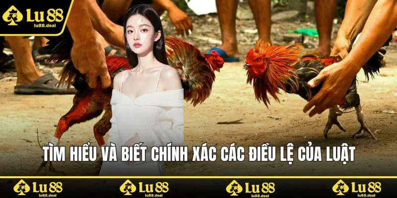 Tìm hiểu và biết chính xác các điều lệ của luật